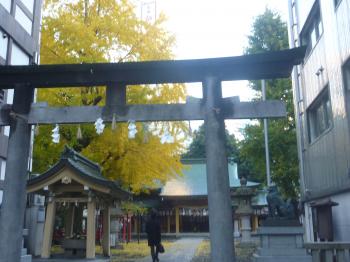 静岡市　小梳神社の銀杏